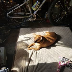 Meet your Posher, Linda